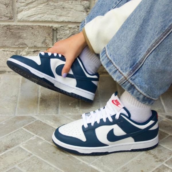 Nike Dunk Low Valerian Blue – uaessss
